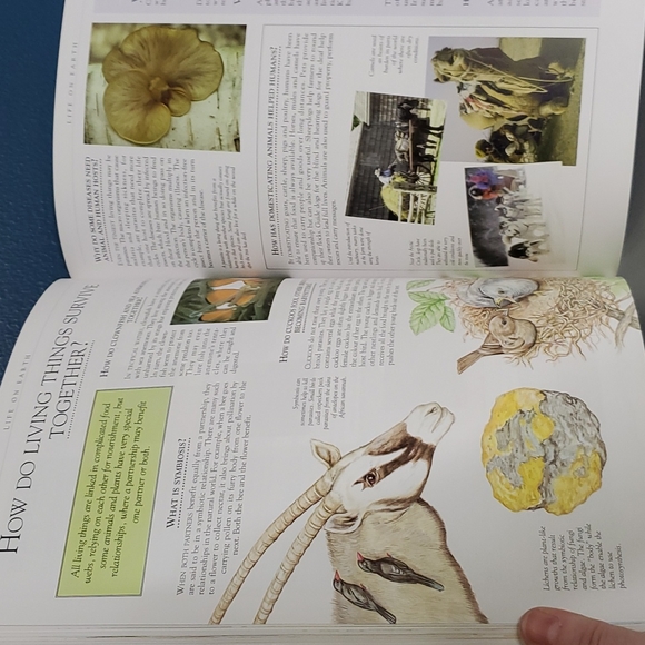 The Big Book Of Questions And Answers 2008 edition - Picture 13 of 15